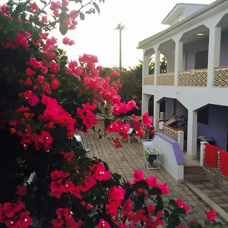 Tambo House Terrazza Apartment